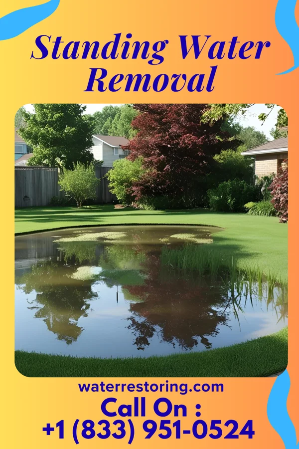 Standing Water Removal in Wells, MN